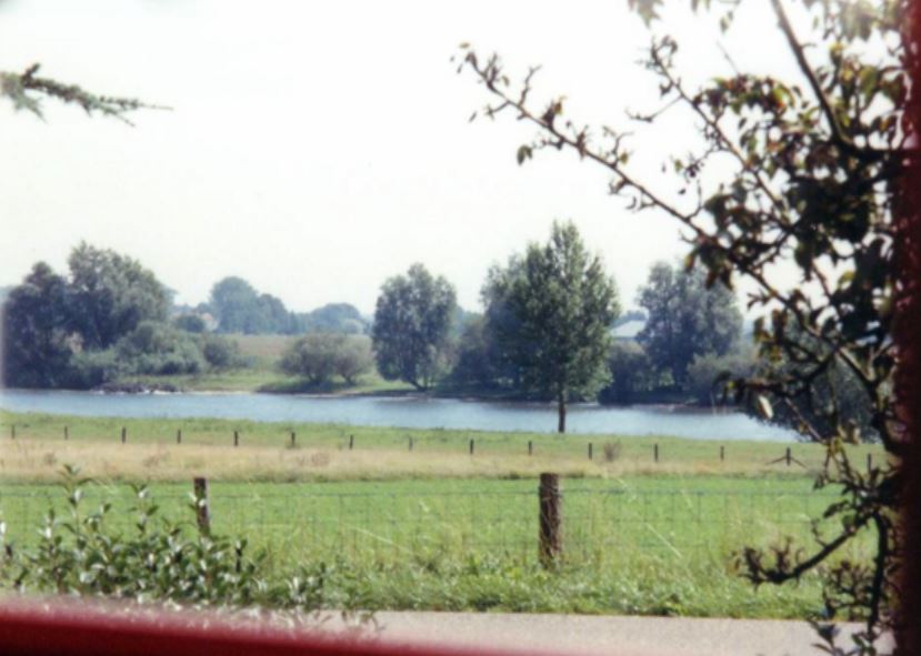 de-noo-widow-overlooking-maas